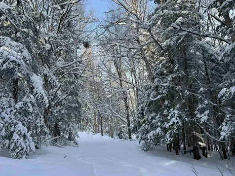 242 Noyes Road Stewartstown NH 03576