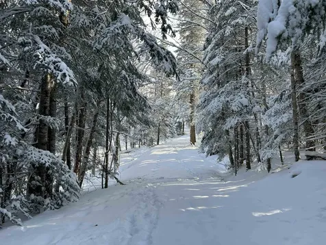 242 Noyes Road Stewartstown NH 03576