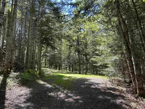 242 Noyes Road Stewartstown NH 03576