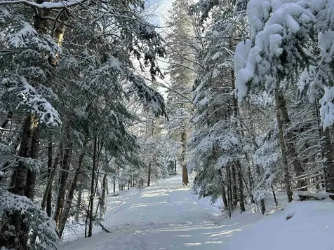 242 Noyes Road Stewartstown NH 03576