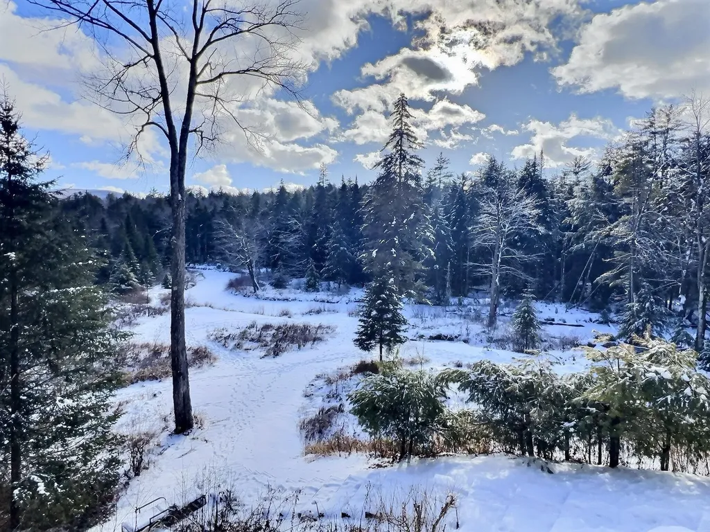 14 Fox Run Road Wilmot NH 03287