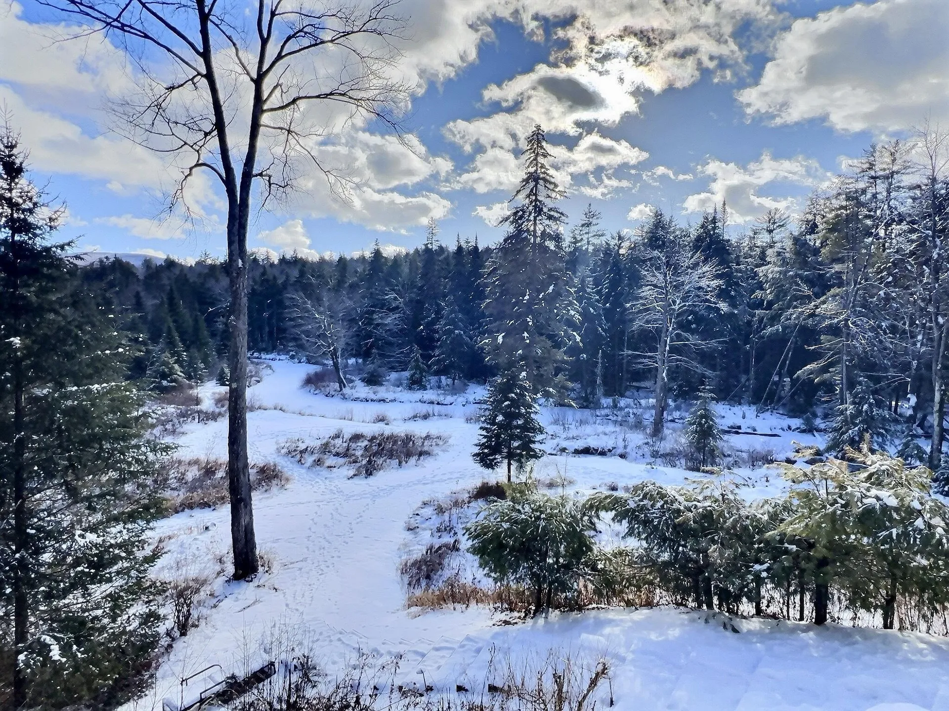 14 Fox Run Road Wilmot NH 03287