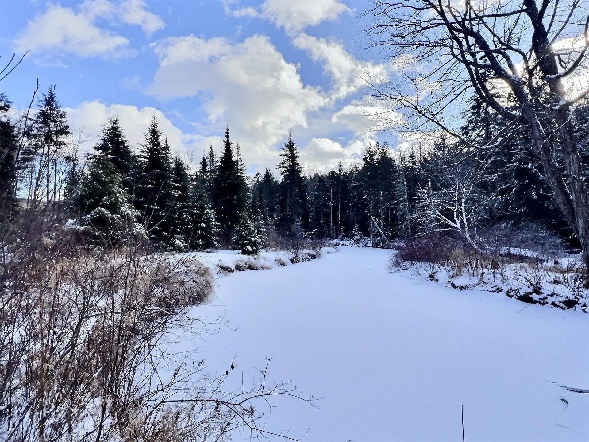 14 Fox Run Road Wilmot NH 03287