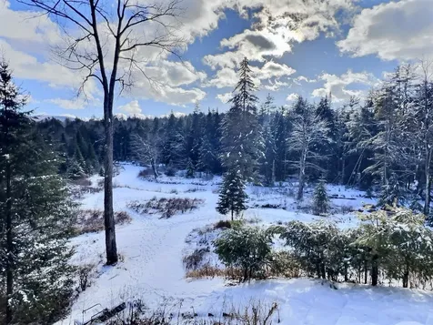 14 Fox Run Road Wilmot NH 03287