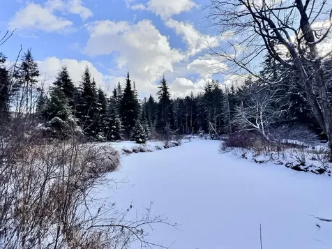 14 Fox Run Road Wilmot NH 03287