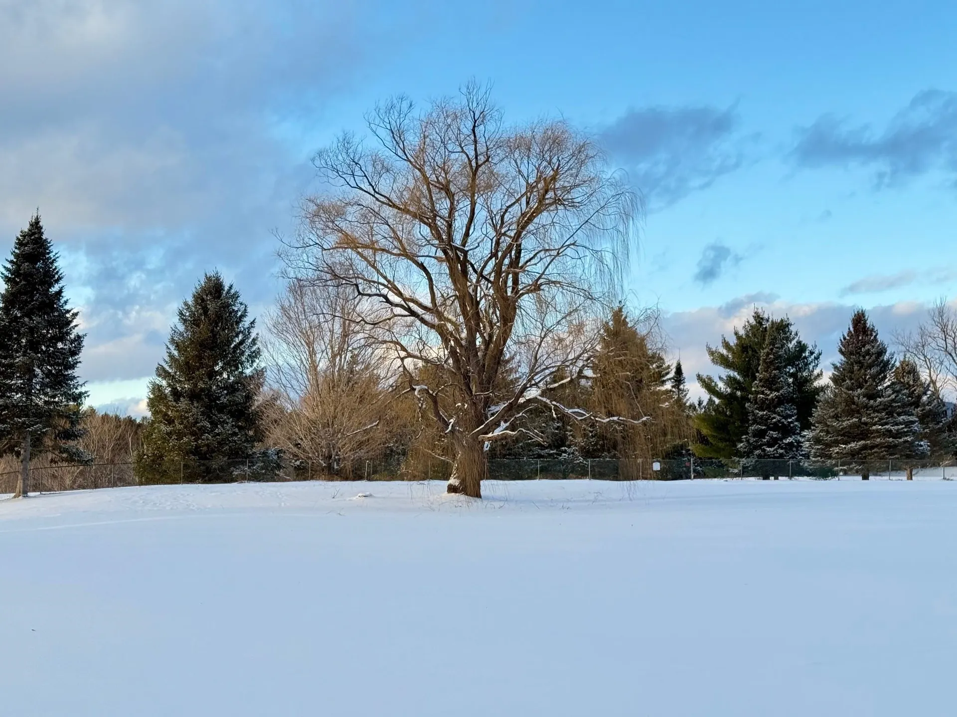 77 West Country Club Drive Bolton VT 05465