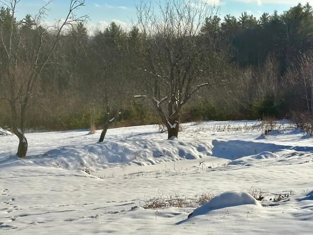 138 Stone Pond Road Marlow NH 03456