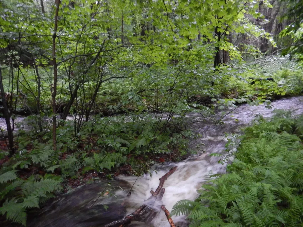 138 Stone Pond Road Marlow NH 03456