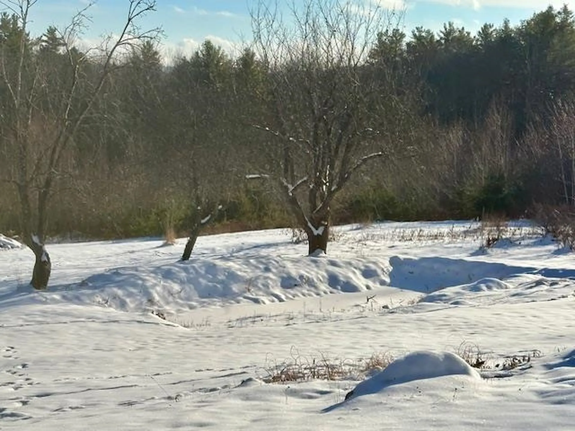 138 Stone Pond Road Marlow NH 03456