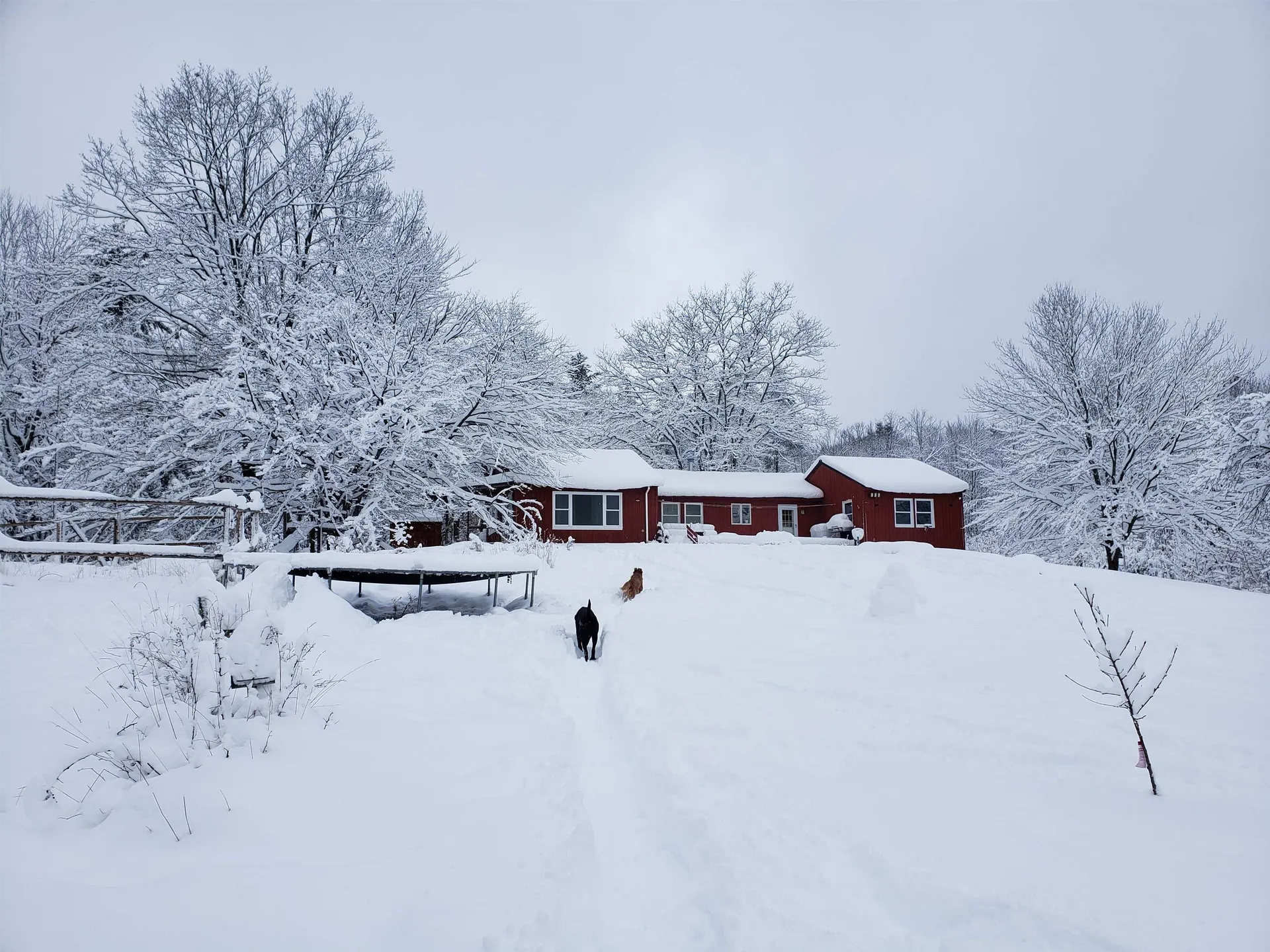138 Stone Pond Road Marlow NH 03456
