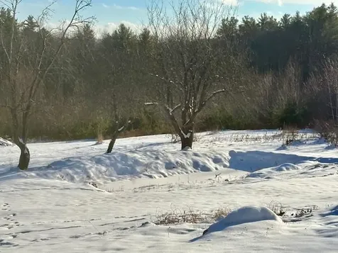 138 Stone Pond Road Marlow NH 03456