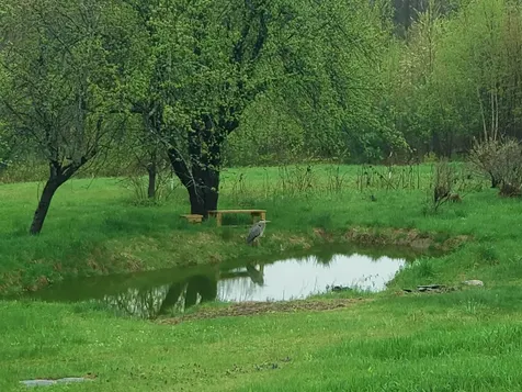 138 Stone Pond Road Marlow NH 03456