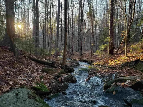 138 Stone Pond Road Marlow NH 03456