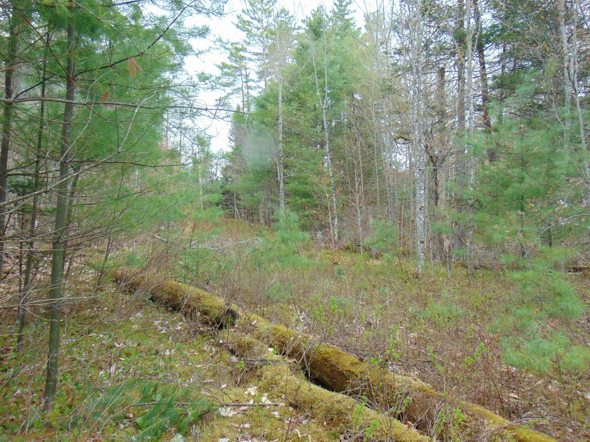 000 Walker Pit Road Concord VT 05824