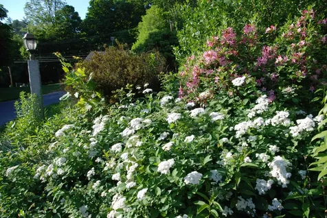 285 East Side Drive Concord NH 03301