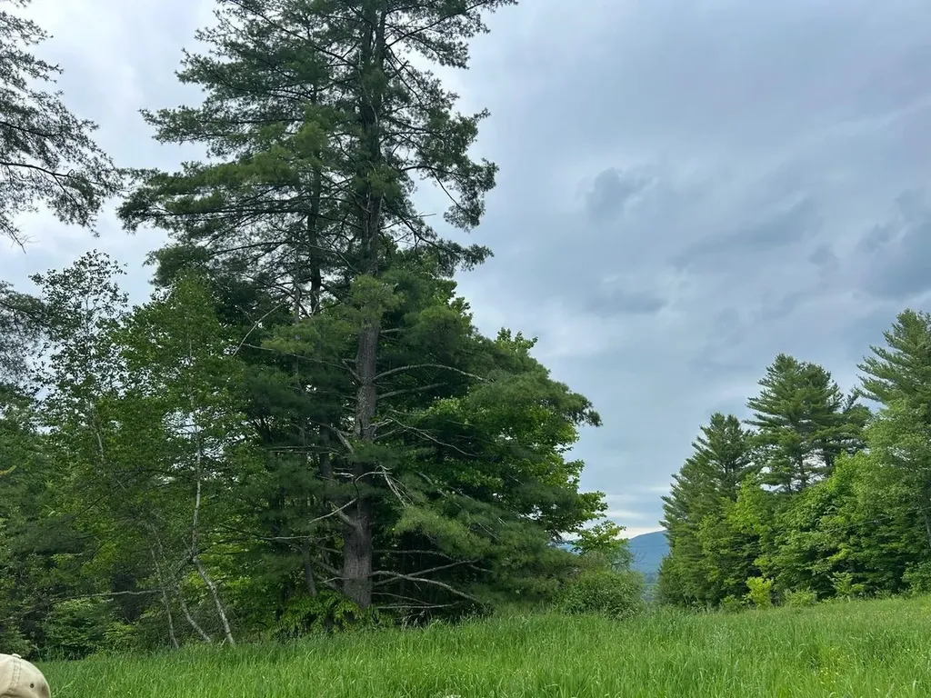 00 Rocky Road Johnson VT 05656