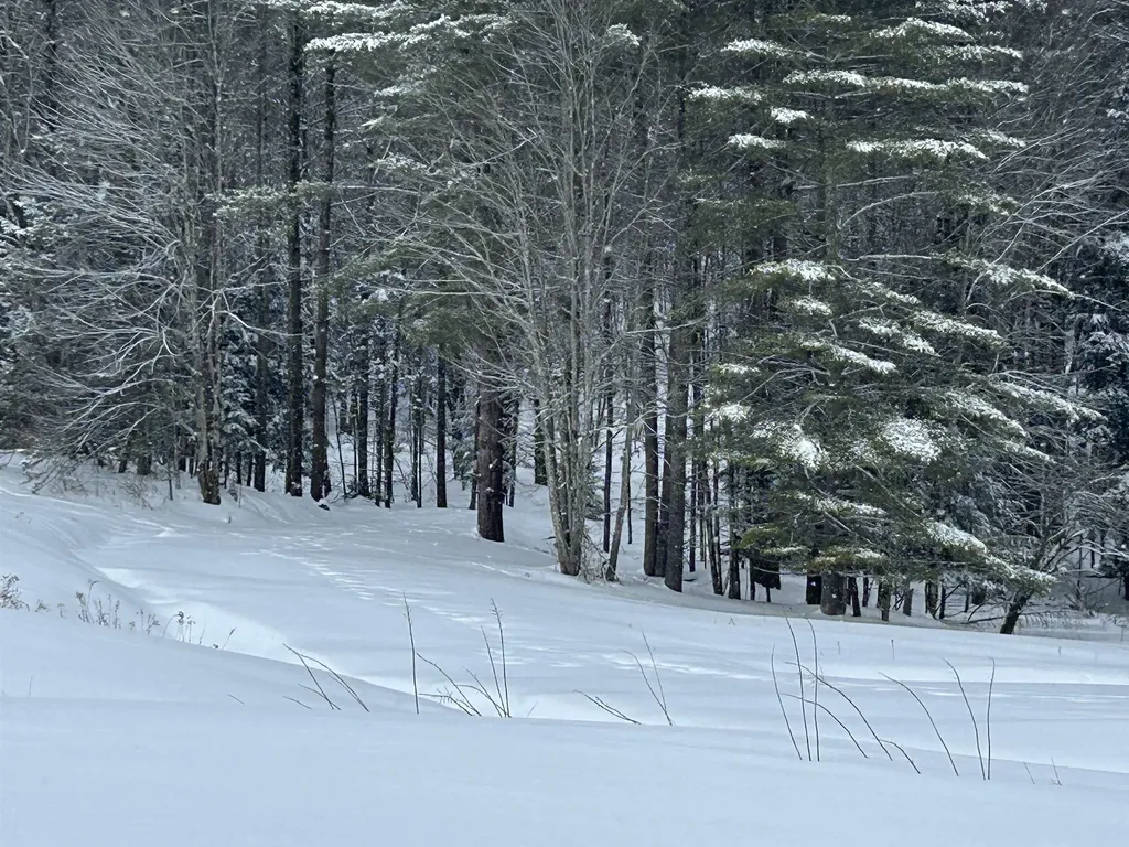 00 Rocky Road Johnson VT 05656