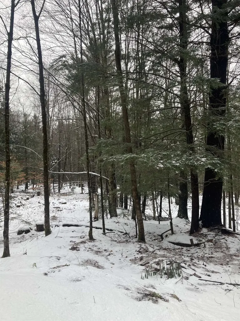 00 Rocky Road Johnson VT 05656