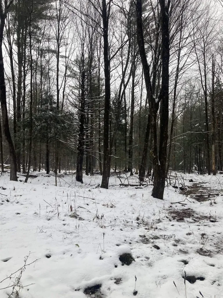 00 Rocky Road Johnson VT 05656