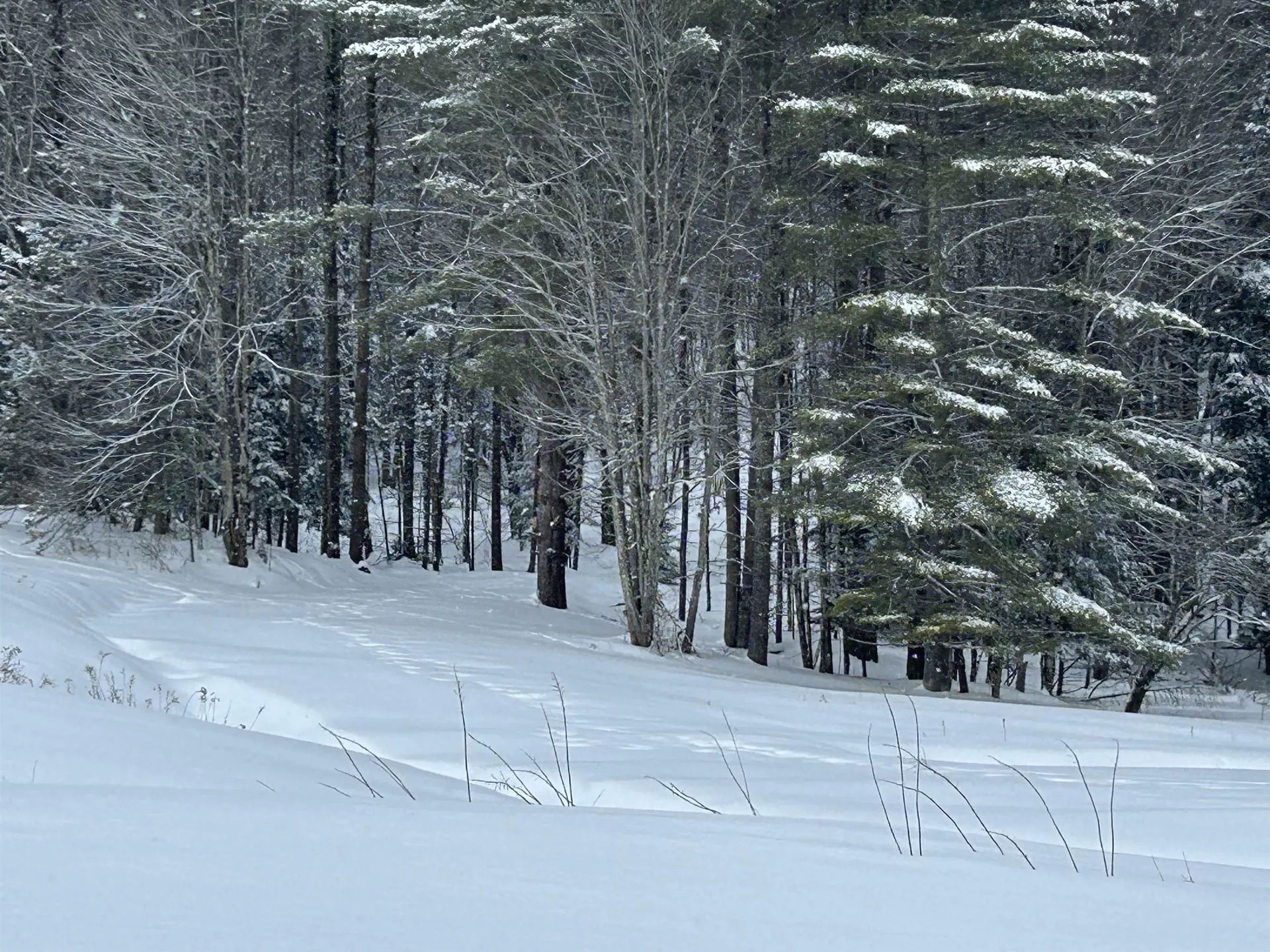 00 Rocky Road Johnson VT 05656