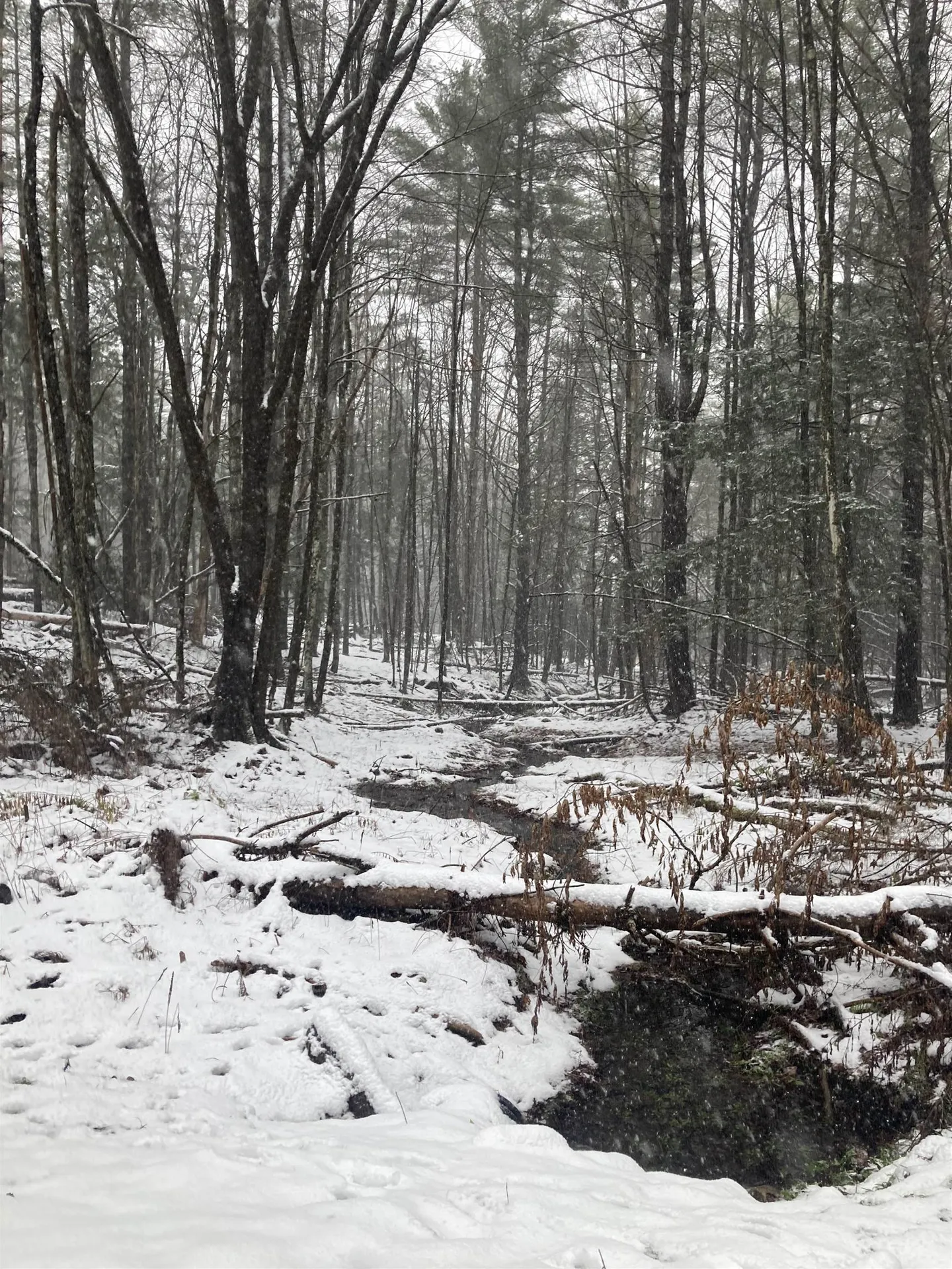 00 Rocky Road Johnson VT 05656