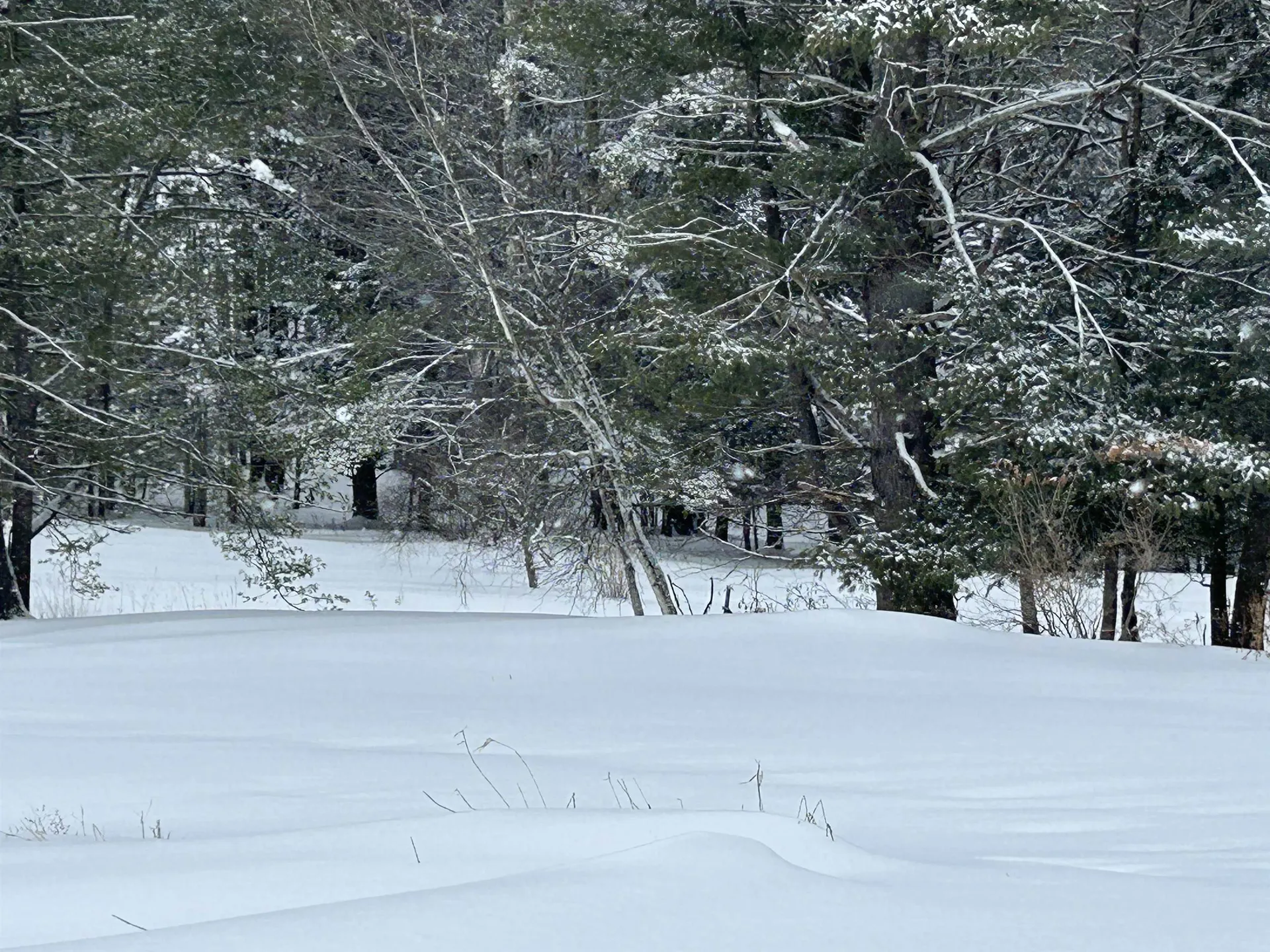 00 Rocky Road Johnson VT 05656