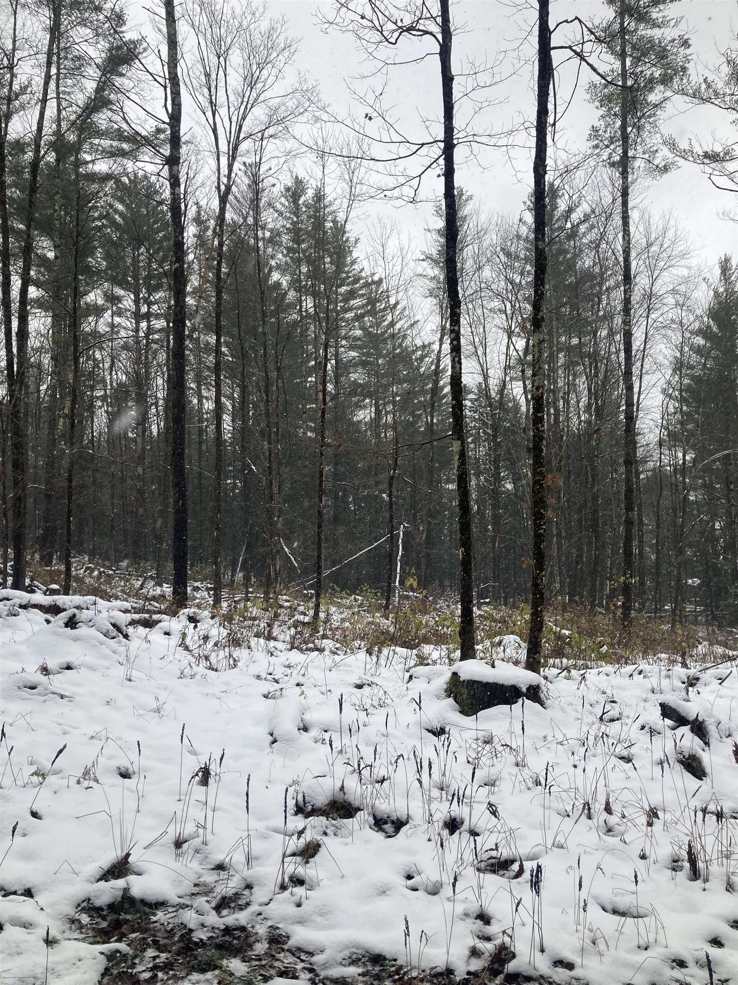 00 Rocky Road Johnson VT 05656