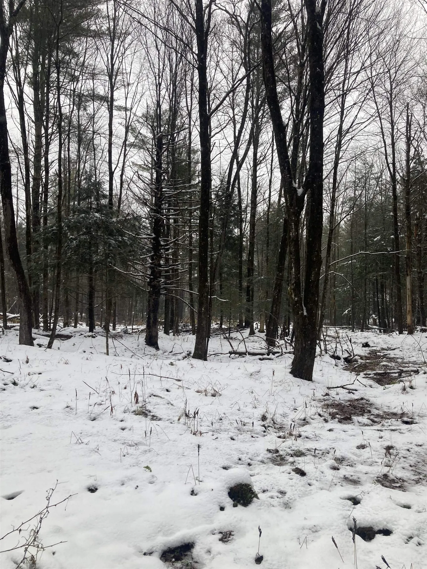 00 Rocky Road Johnson VT 05656