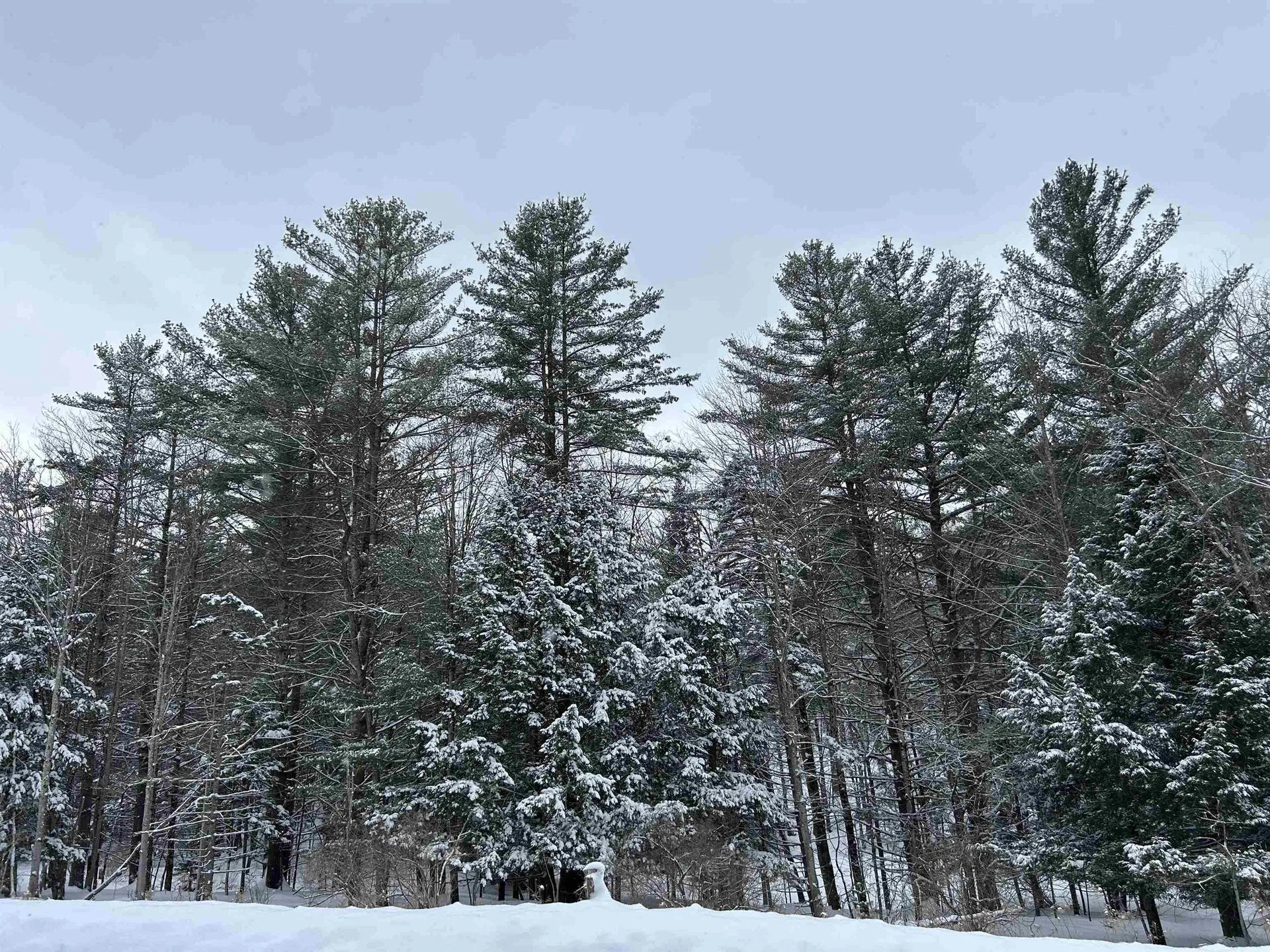 00 Rocky Road Johnson VT 05656