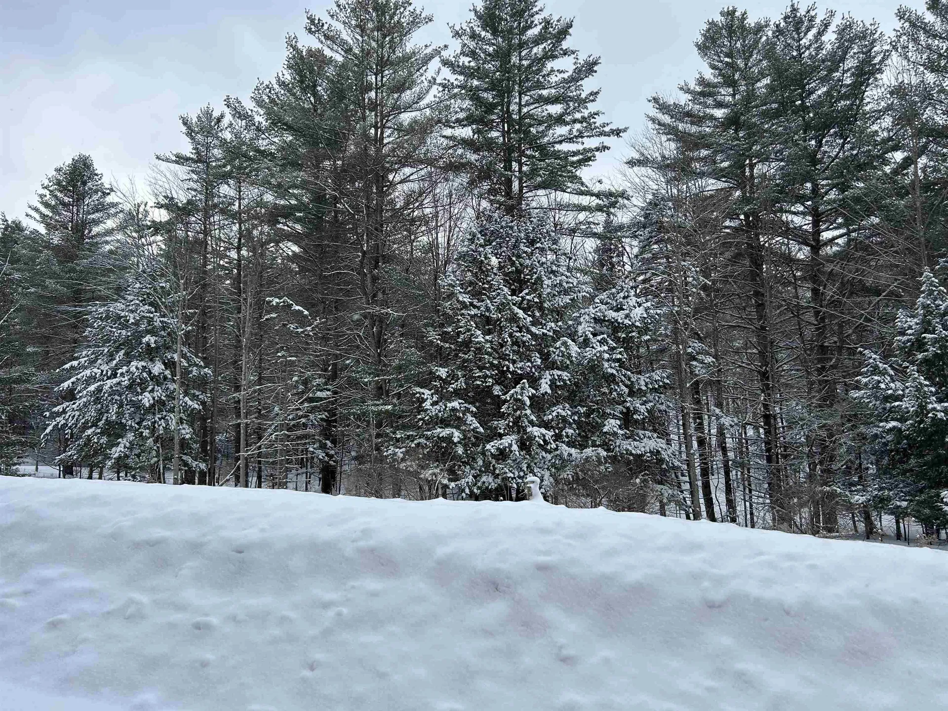 00 Rocky Road Johnson VT 05656