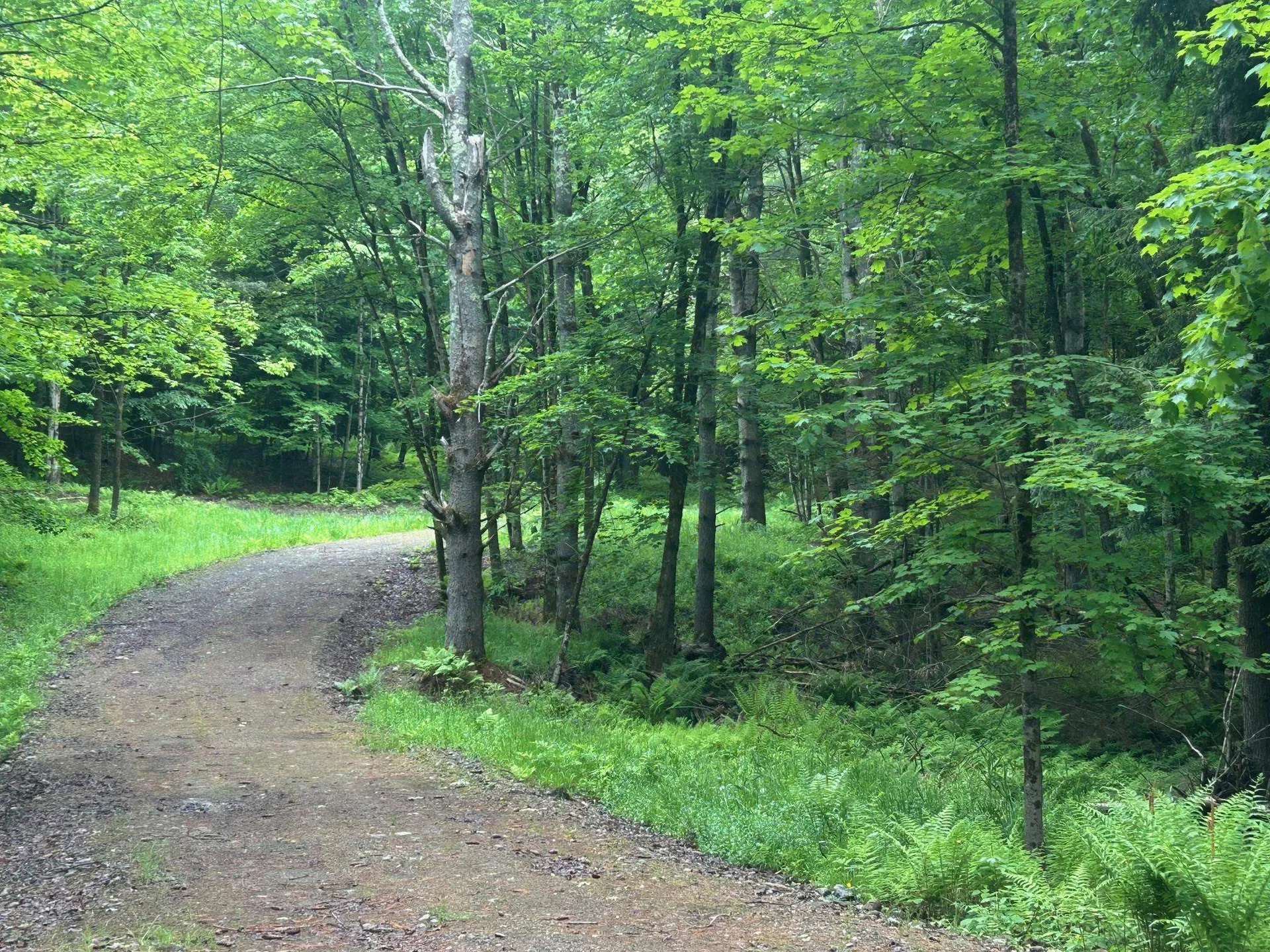 00 Rocky Road Johnson VT 05656