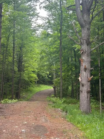00 Rocky Road Johnson VT 05656