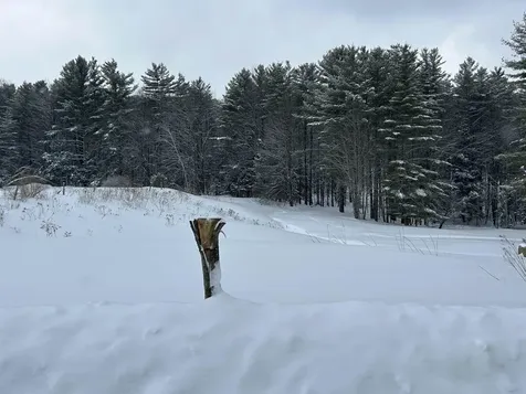 00 Rocky Road Johnson VT 05656