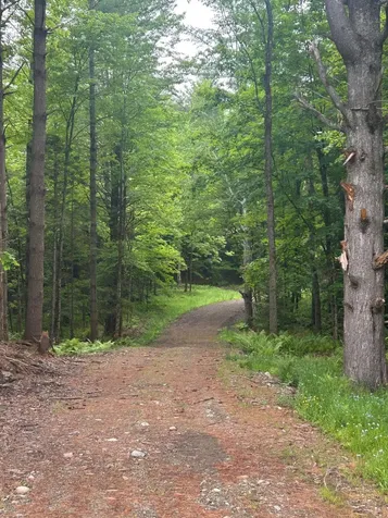 00 Rocky Road Johnson VT 05656