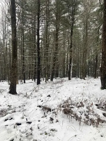 00 Rocky Road Johnson VT 05656