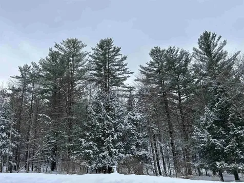 00 Rocky Road Johnson VT 05656