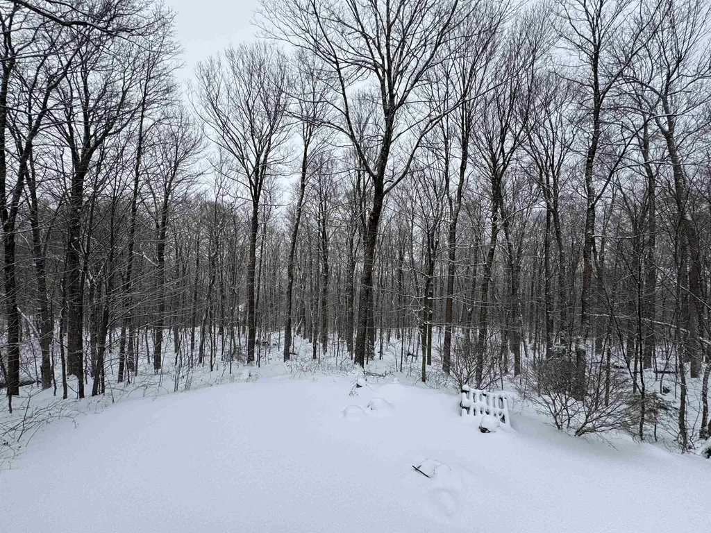 1160 Bergrucken Lane Stamford VT 05352