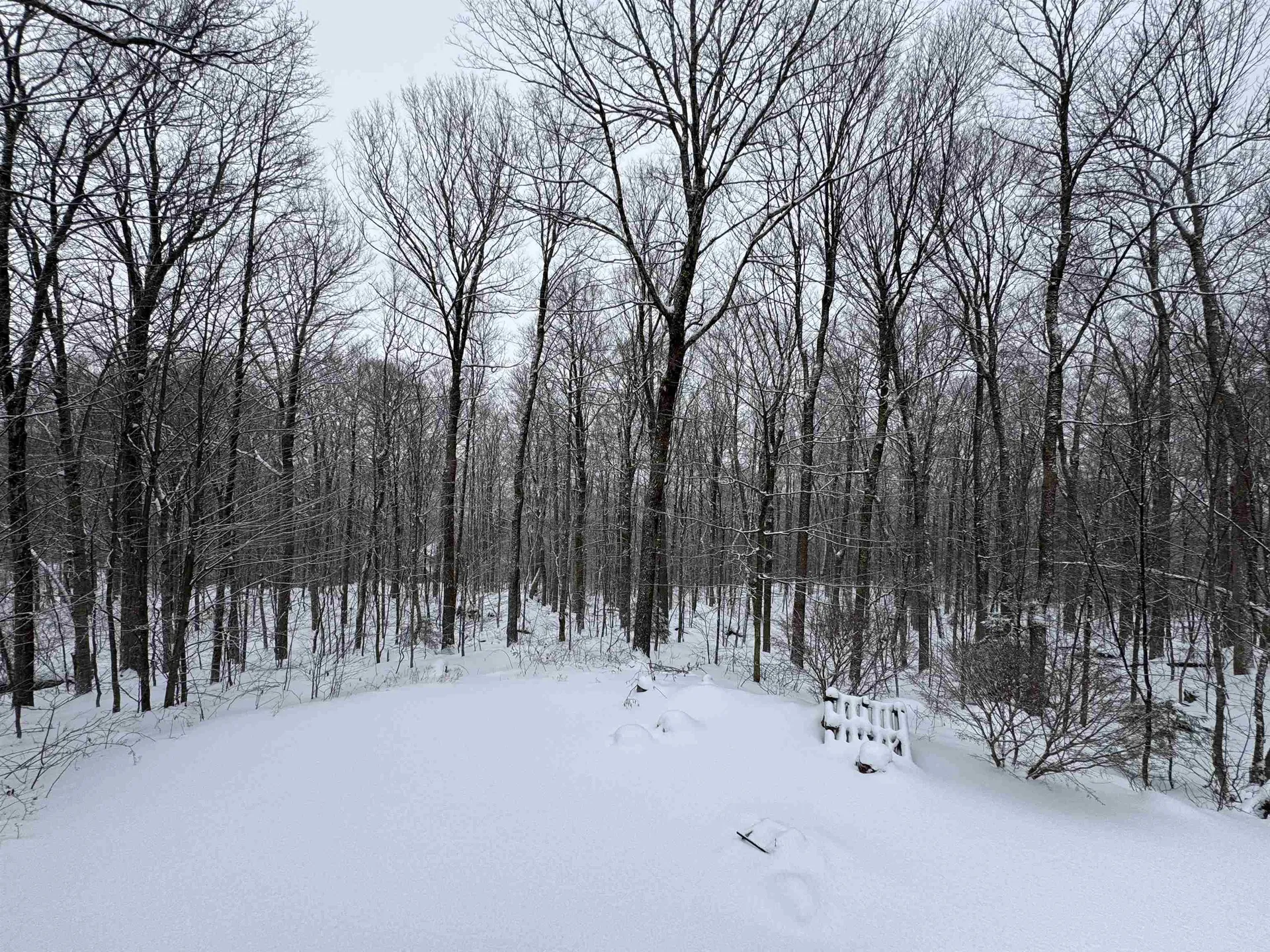 1160 Bergrucken Lane Stamford VT 05352