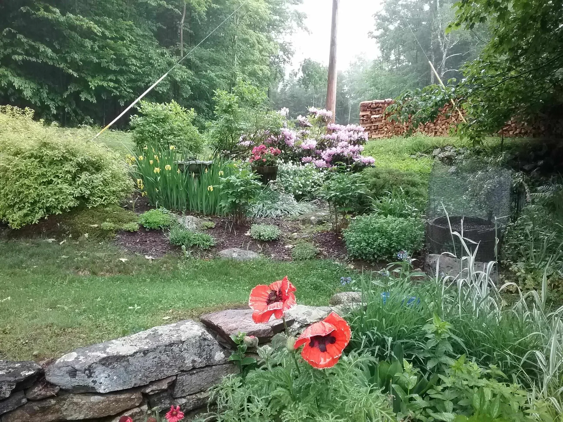 1160 Bergrucken Lane Stamford VT 05352