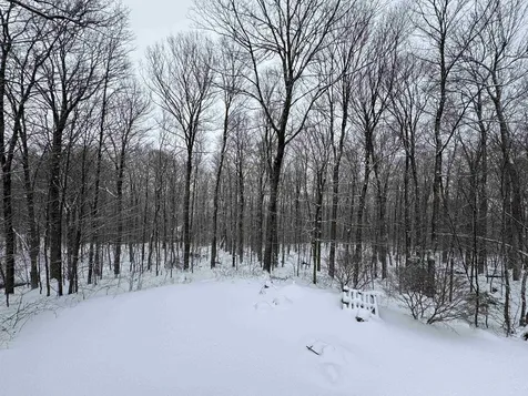 1160 Bergrucken Lane Stamford VT 05352