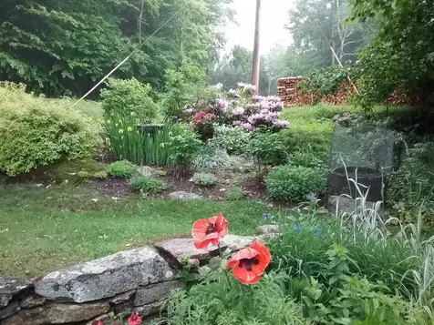 1160 Bergrucken Lane Stamford VT 05352