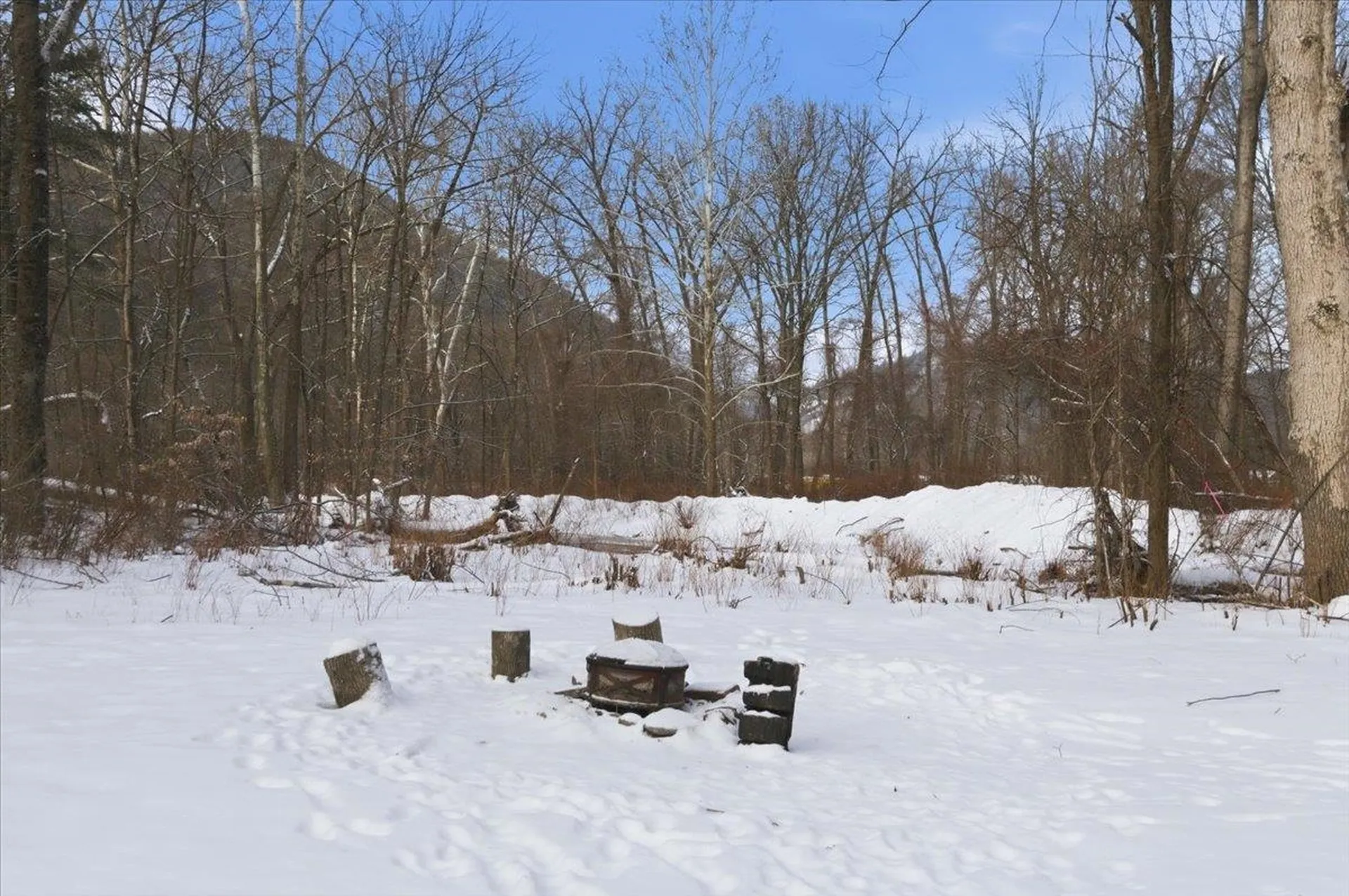 1227 Vermont Route 30 Townshend VT 05353