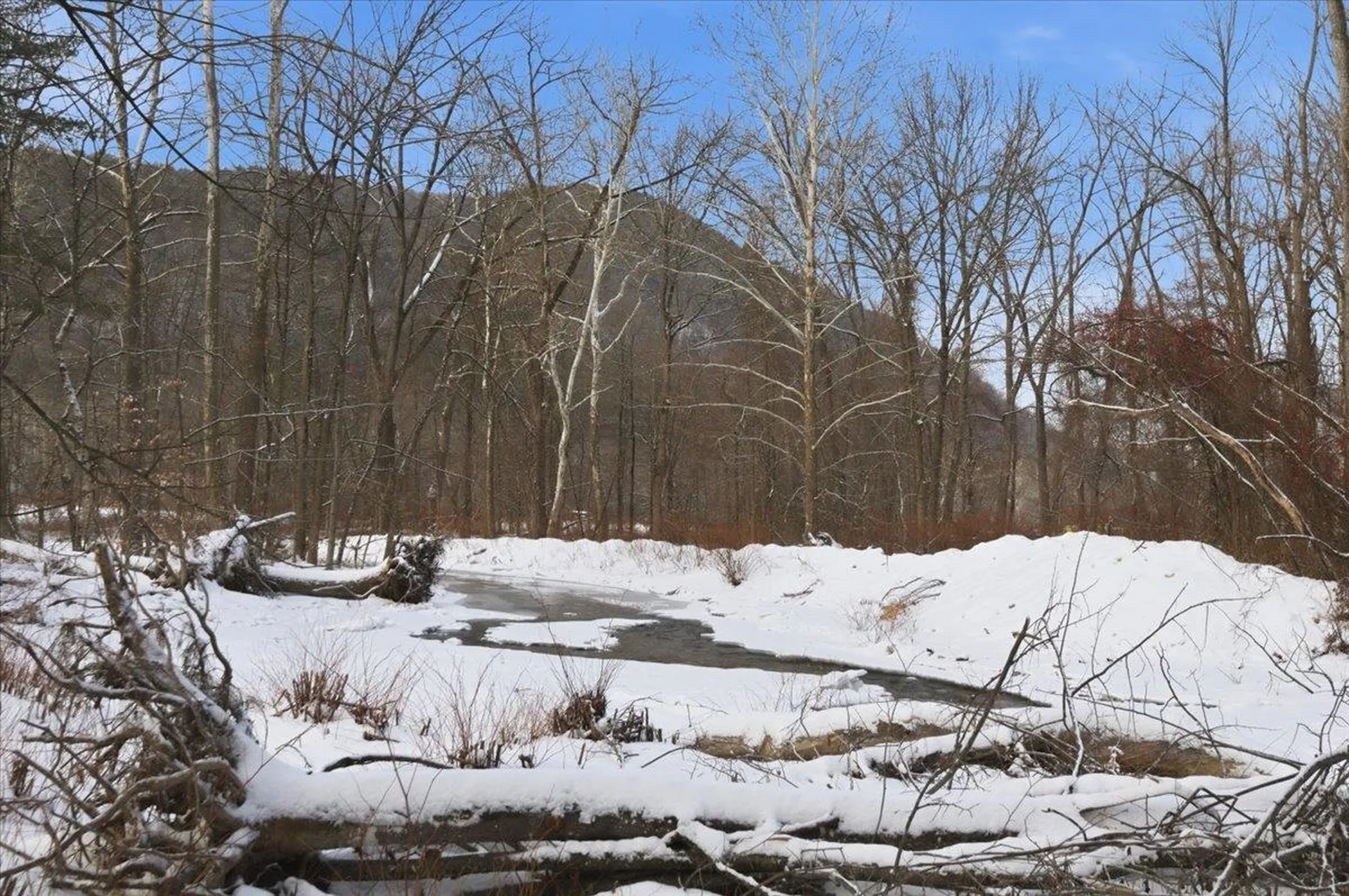 1227 Vermont Route 30 Townshend VT 05353