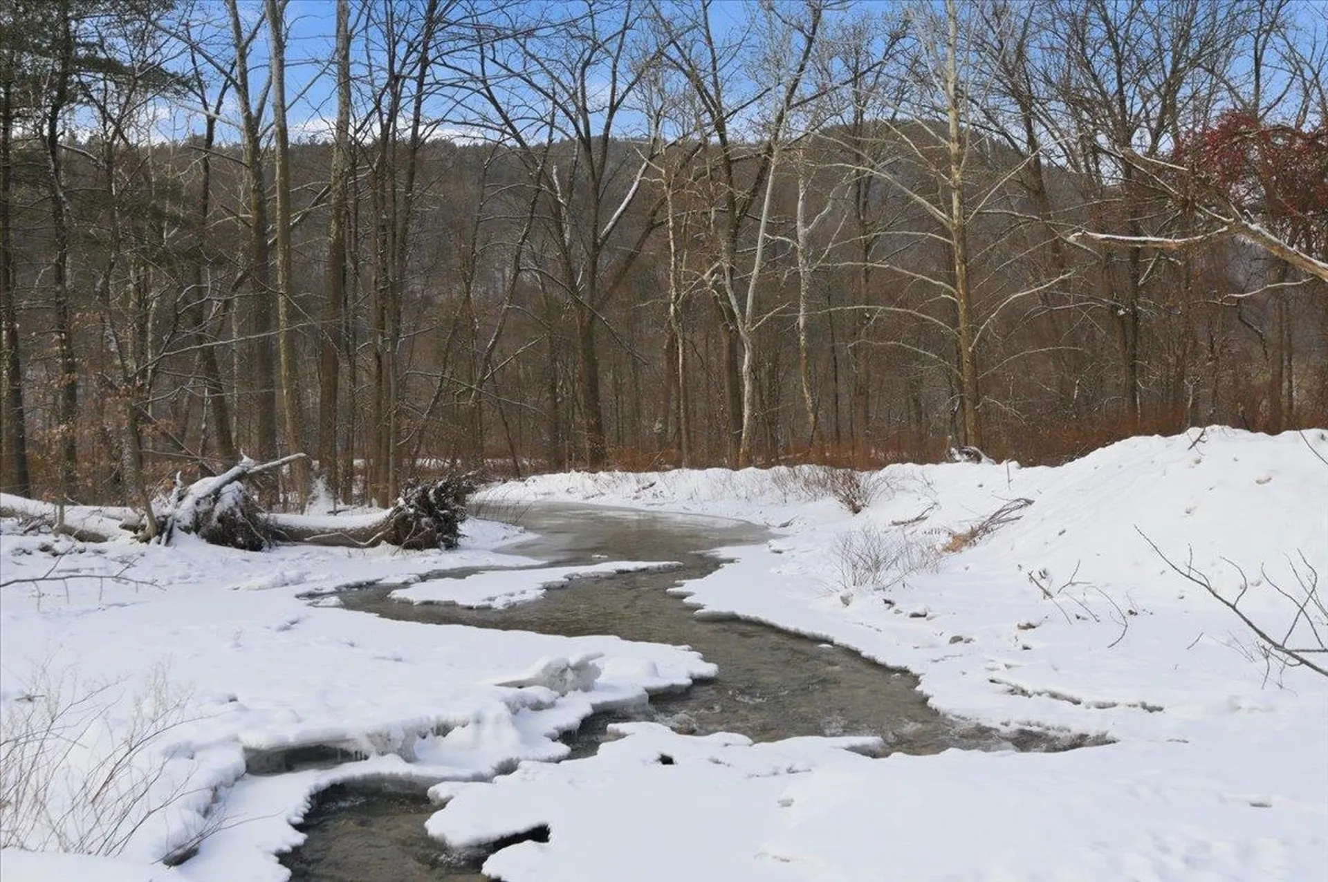 1227 Vermont Route 30 Townshend VT 05353