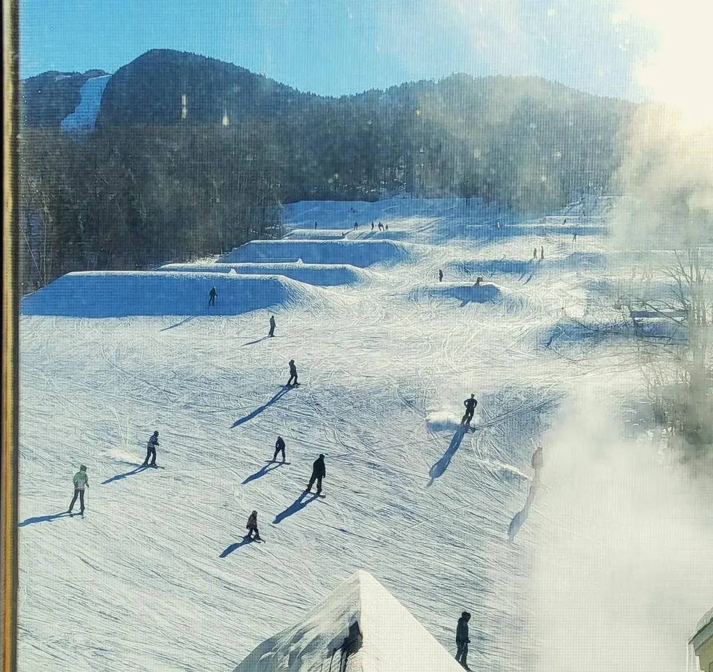 90 Loon Mount Road Lincoln NH 03251