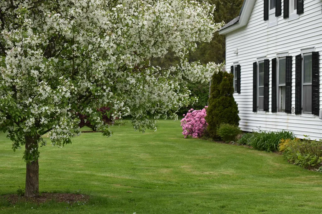 5481 Main Street Manchester VT 05255