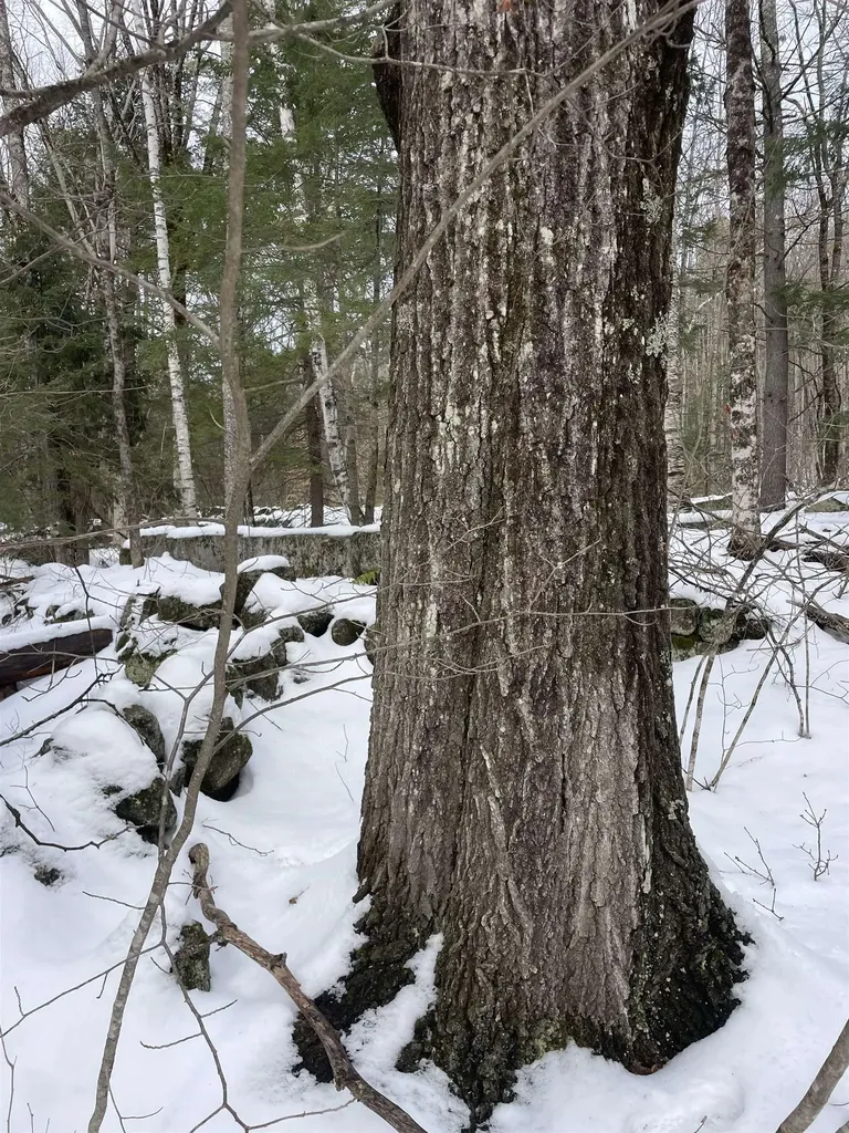 332 Gleason Falls Road Hillsborough NH 03244