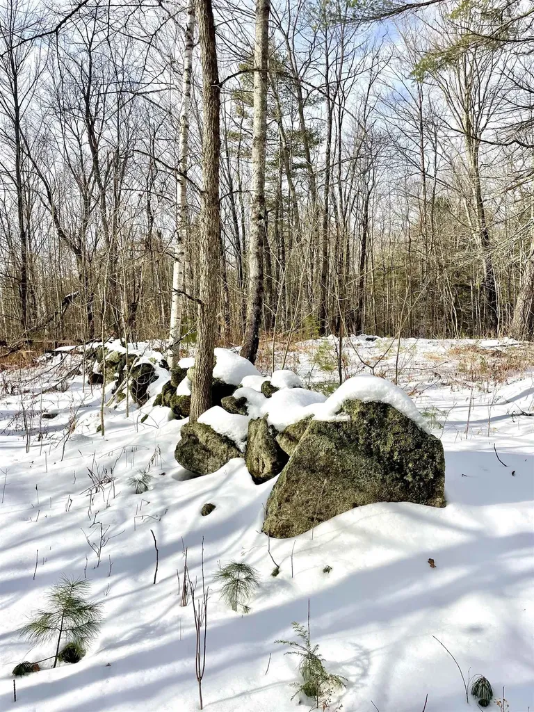 332 Gleason Falls Road Hillsborough NH 03244