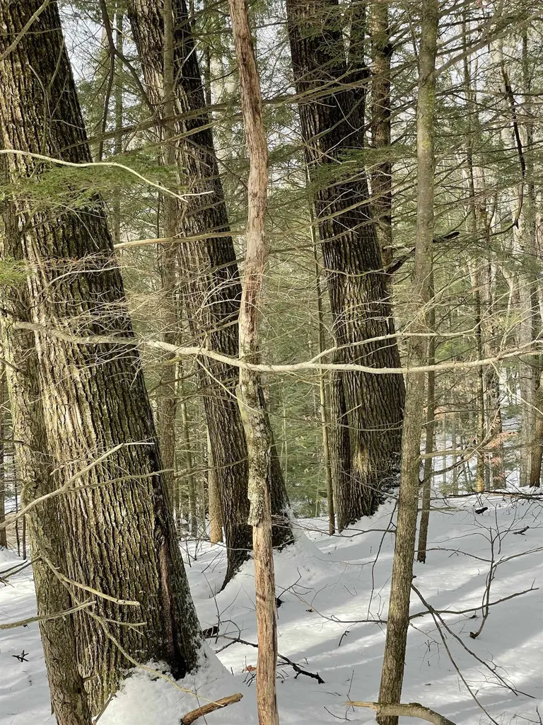 332 Gleason Falls Road Hillsborough NH 03244