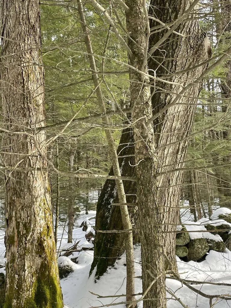 332 Gleason Falls Road Hillsborough NH 03244